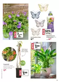 Intratuin folder week 12 Pagina 13