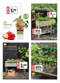 Intratuin folder week 12 Pagina 3