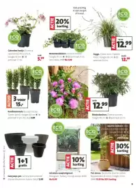 Intratuin folder week 12 Pagina 9