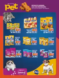 Encarte Rede Top Página 4