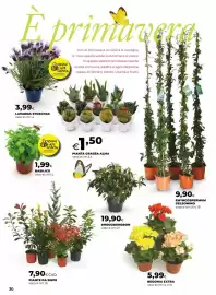 Volantino Extracoop Pagina 30