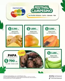 Catálogo Surtifamiliar Página 2