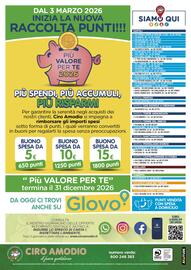 Volantino Ciro Amodio Pagina 12