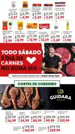 Encarte Zona Sul semana 11 Página 5