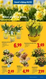 Lidl folder Pagina 21