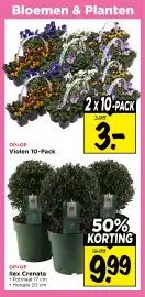 Vomar Voordeelmarkt folder week 12 Pagina 31