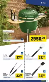 Catalog Metro Pagină 13