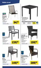 Catalog Metro Pagină 6