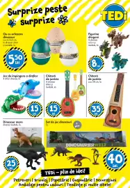 Catalog TEDI Pagină 21