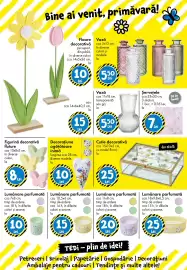 Catalog TEDI Pagină 23