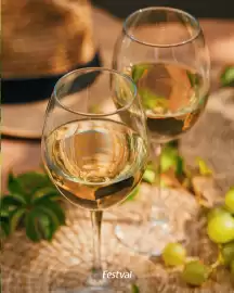 Encarte Festval Página 1