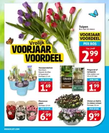 Hoogvliet folder week 12 Pagina 24