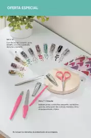 Catálogo AVON Página 110