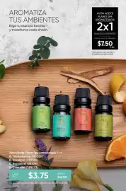 Catálogo AVON Página 113