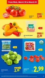 Lidl weekly ad week 12 Page 3