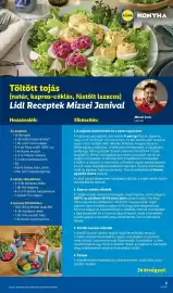 Lidl akciós újság hét 12 Oldal 3