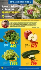 Lidl akciós újság hét 12 Oldal 4