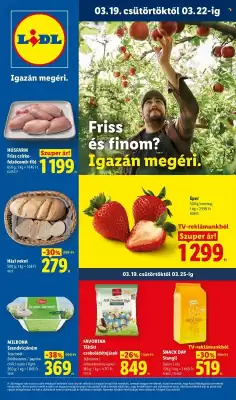 Lidl akciós újság