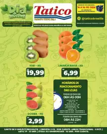 Tabloide Tatico Página 33