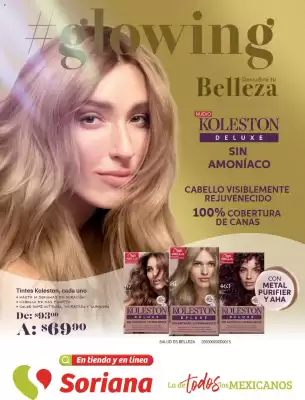 Folleto Soriana Híper (válido hasta 26-03)