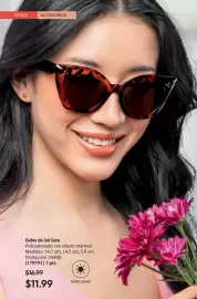 Catálogo AVON Página 66