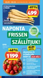 ALDI akciós újság hét 12 Oldal 38