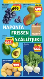 ALDI akciós újság hét 12 Oldal 53