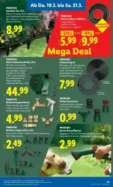 Lidl Flugblatt woche 12 Seite 25