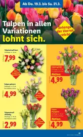 Lidl Flugblatt woche 12 Seite 27