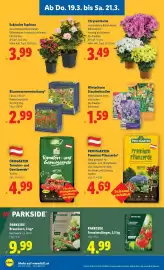 Lidl Flugblatt woche 12 Seite 28