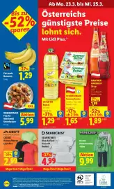 Lidl Flugblatt woche 12 Seite 29