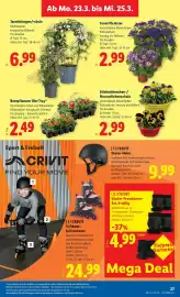 Lidl Flugblatt woche 12 Seite 30