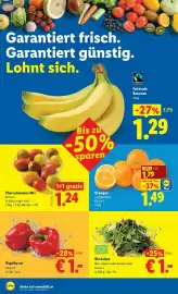 Lidl Flugblatt woche 12 Seite 37
