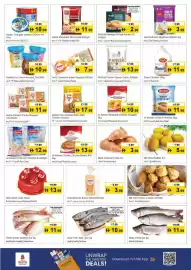 Nesto catalogue Page 3