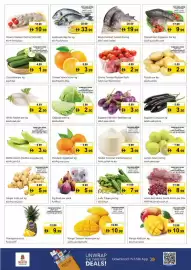 Nesto catalogue Page 4