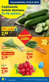 Lidl gazetka Strona 30