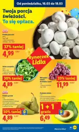 Lidl gazetka Strona 31