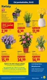 Lidl gazetka Strona 71