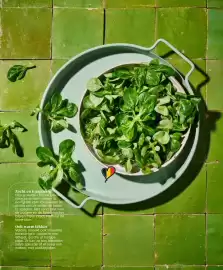 Carrefour folder Pagina 16