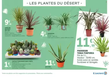 Catalogue E.Leclerc page 7