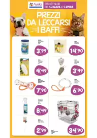 Volantino Ayoka Pagina 13