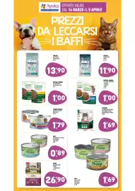 Volantino Ayoka Pagina 15