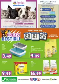 Volantino Ayoka Pagina 8