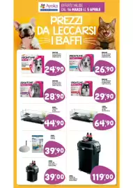 Volantino Ayoka Pagina 9