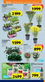 ALDI akciós újság hét 12 Oldal 11