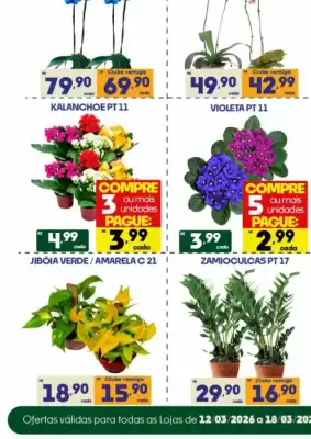 Catálogo Supermercados Avenida (válido até 18-03)