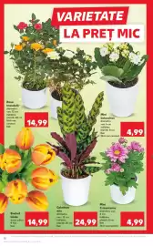 Catalog Kaufland săptămâna 12 Pagină 10