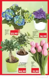 Catalog Kaufland săptămâna 12 Pagină 11