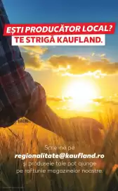 Catalog Kaufland săptămâna 12 Pagină 64