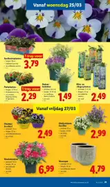 Lidl folder week 13 Pagina 21